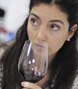 Curso Iniciación Vinos
