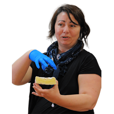 Guillermina Sánchez-Cerezo