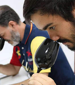 Curso Intermedio: Identificación y Cata de Vinos