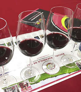 Curso Avanzado: Vinos Internacionales