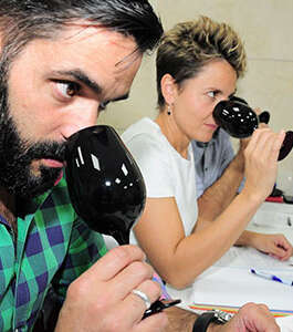 Pack de Iniciación + Monográficos