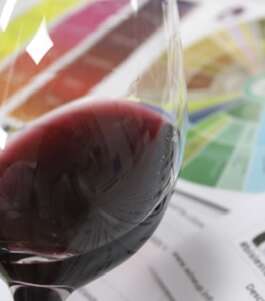 Especialista en Cata VINOS Tardes