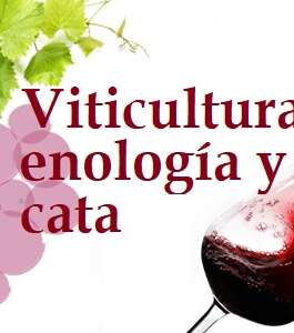 Viticultura, enología y cata
